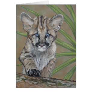 mignon bébé cougar kitten gros chat faune