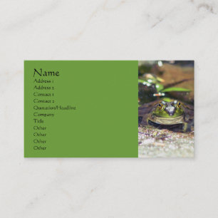 Mignon Bullfrog Carte de visite de la photographie