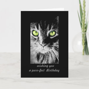 mignon chat kitty Anniversaire Carte photo art hum