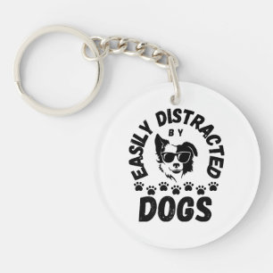 Mignon facilement distrait par les chiens amateurs