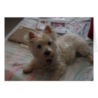 mignonne carte jack !