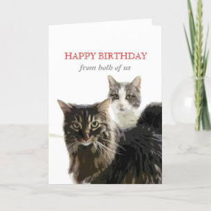 mignonne chatte carte d'anniversaire de kitty cat