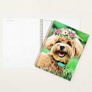 Mignonne Maltipoo Chien Chien Chien Chien Avec Ser