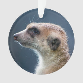 Mignonne Meerkat Circulaire de Noël