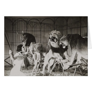 Mignonne mère de Lion Tamer