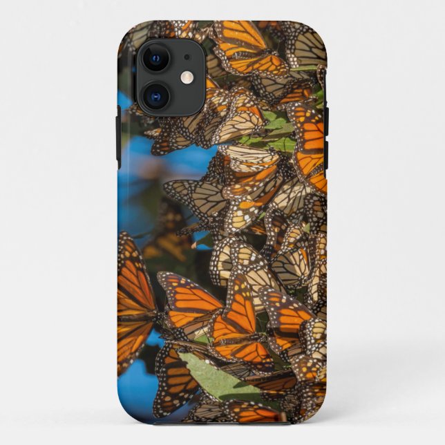 Migrating monarch butterflies cling to leaves Case-Mate iPhone hülle (Rückseite)