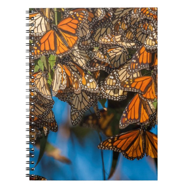 Migrating monarch butterflies cling to leaves notizblock (Vorderseite)
