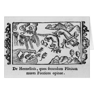 Migration der Lemminge