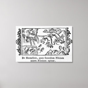 Migration der Lemminge Leinwanddruck