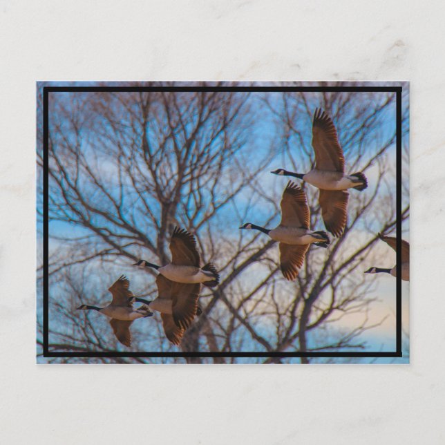 MIgration Postkarte (Vorderseite)