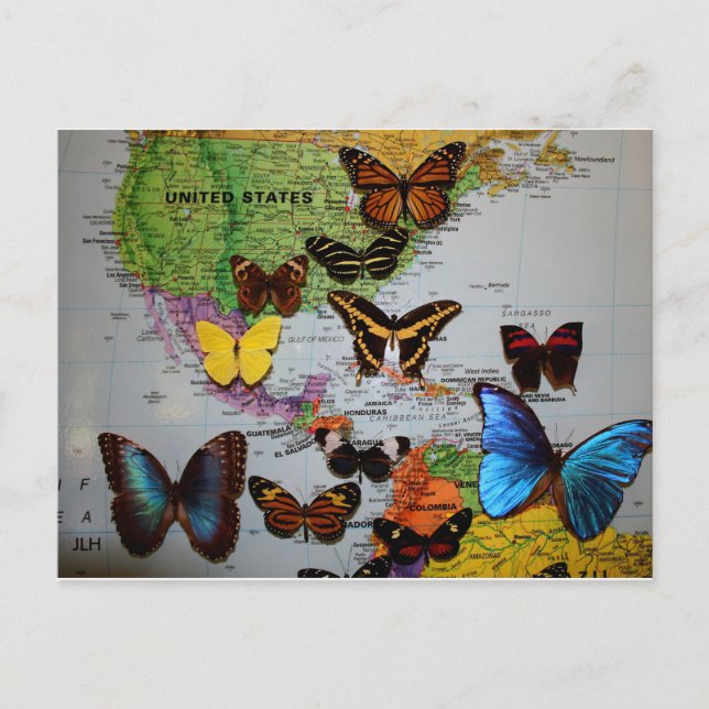 Migrational Locales, JLH Postkarte (Vorderseite)