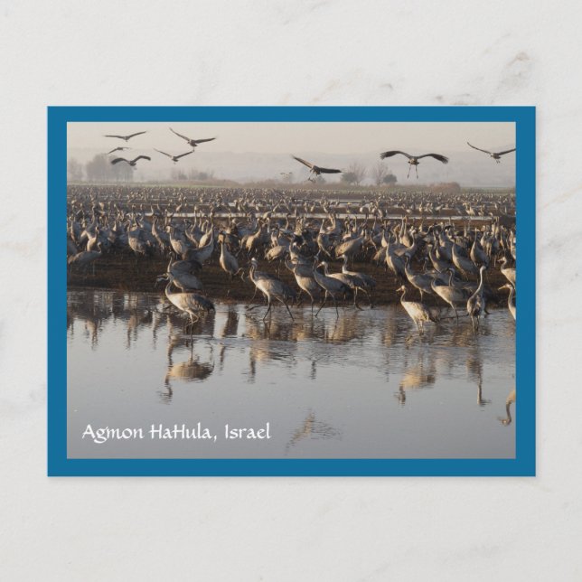 Migrationshintergrund Postkarte (Vorderseite)