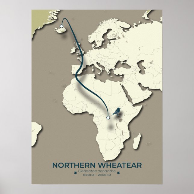 Migrationskarte für Nordatlantik - Minimalistisch Poster (Vorne)