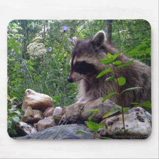 Mika der Waschbär Mousepad