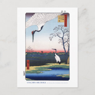 Mikawa Island Postkarte