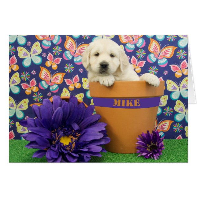 Mike, Foto der Woche 5 (Vorderseite (Horizontal))