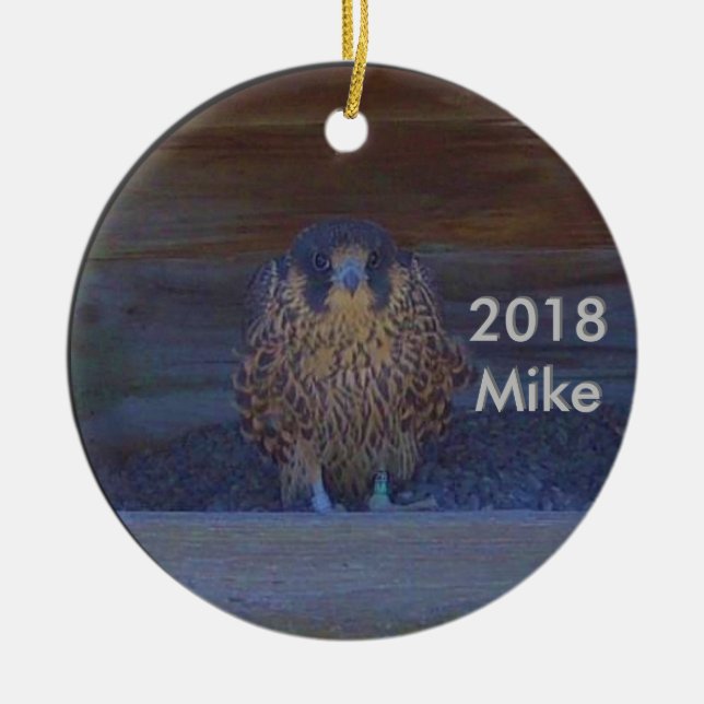 Mike zur Keramik 2018 Ornament (Vorne)