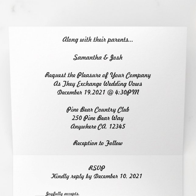 Mikro-Hochzeit + Save the Date Combo-Dreifach Dreifach-gefaltete Programmkarte (Innen Erste Seite)