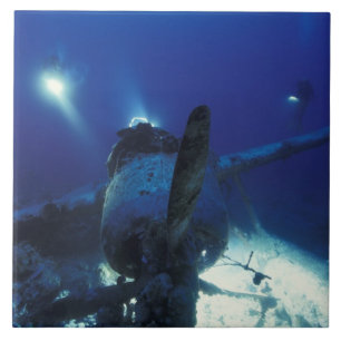 Mikronesien, Palau, Welterbe. Taucher Fliese