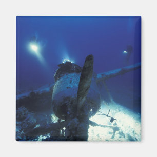 Mikronesien, Palau, Welterbe. Taucher Magnet