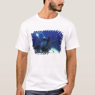 Mikronesien, Palau, Weltkulturerbe. Taucher T-Shirt