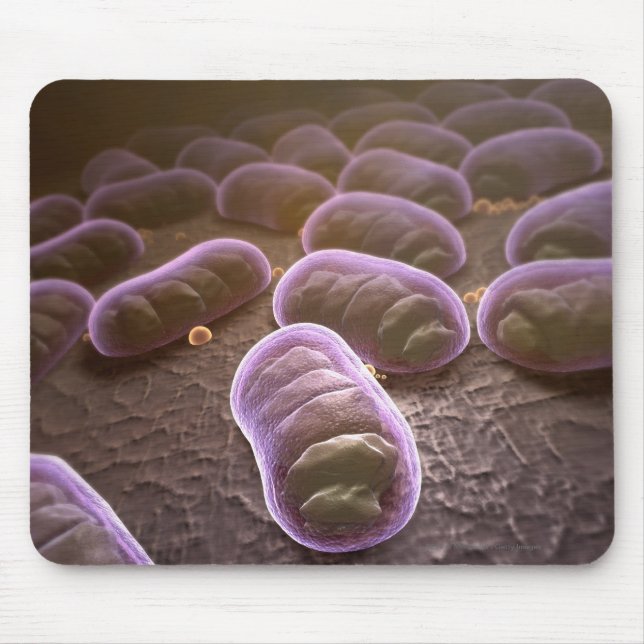 Mikroskopische Ansicht der Bakterien Mousepad (Vorne)