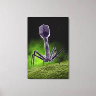 Mikroskopische Ansicht des Bakteriophages Leinwanddruck