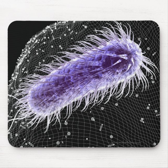 Mikroskopische Ansicht einer helicobacter Mousepad (Vorne)
