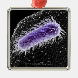 Mikroskopische Ansicht einer helicobacter Ornament Aus Metall