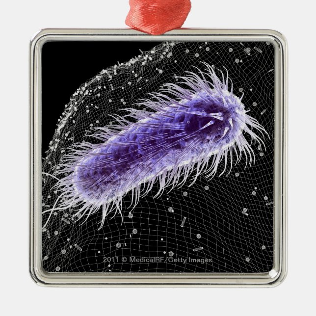 Mikroskopische Ansicht einer helicobacter Ornament Aus Metall (Vorne)