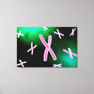 Mikroskopische Ansicht von Chromosom 2 Leinwanddruck