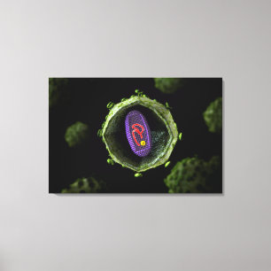 Mikroskopische Ansicht von HIV-Virus, Querschnitts Leinwanddruck