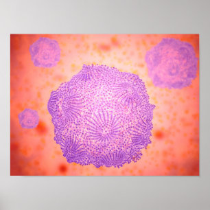 Mikroskopische Ansicht von Hunde- Parvovirus 2 Poster