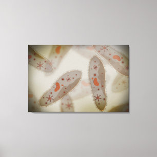 Mikroskopische Ansicht von Paramecium 1 Leinwanddruck