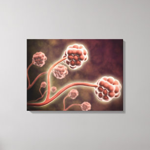 Mikroskopische Ansicht von Stachybotrys Chartarum Leinwanddruck