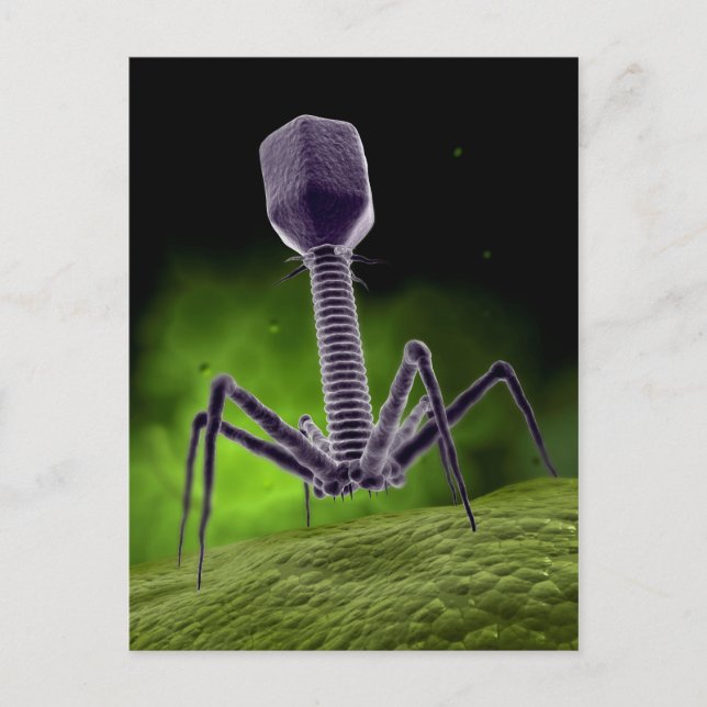 Mikroskopische Darstellung der Bakteriophage Postkarte (Vorderseite)