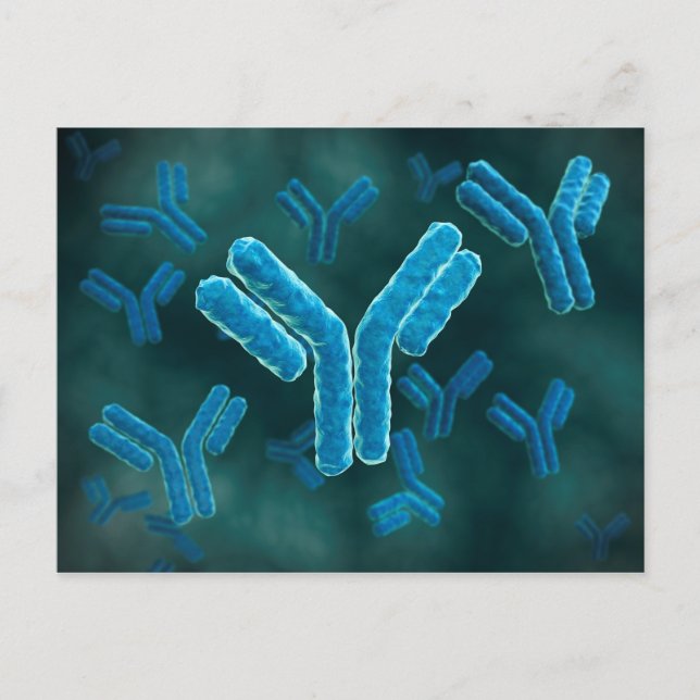 Mikroskopische Darstellung der Immunglobulin G-Mol Postkarte (Vorderseite)