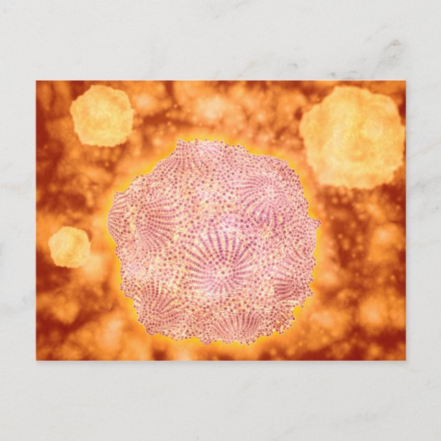 Mikroskopische Darstellung des Canin Parvovirus 1 Postkarte (Vorderseite)