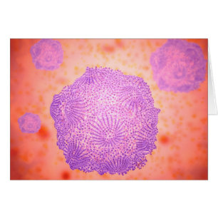 Mikroskopische Darstellung des Canin Parvovirus 2