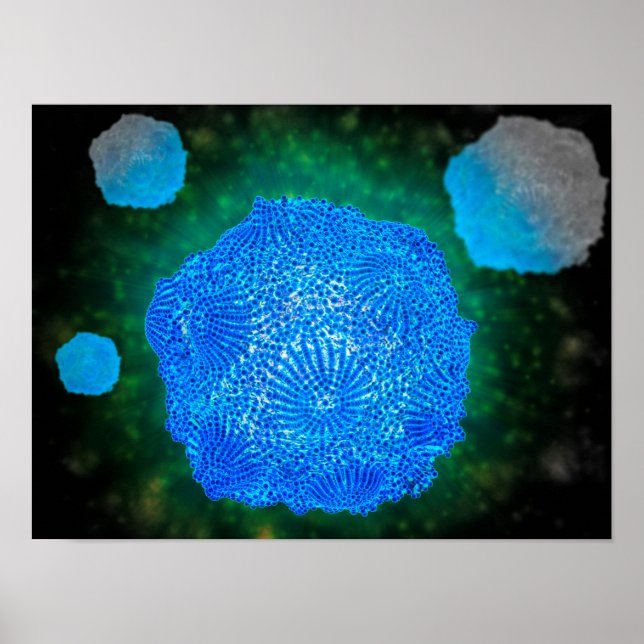 Mikroskopische Darstellung des Canin Parvovirus 3 Poster (Vorne)