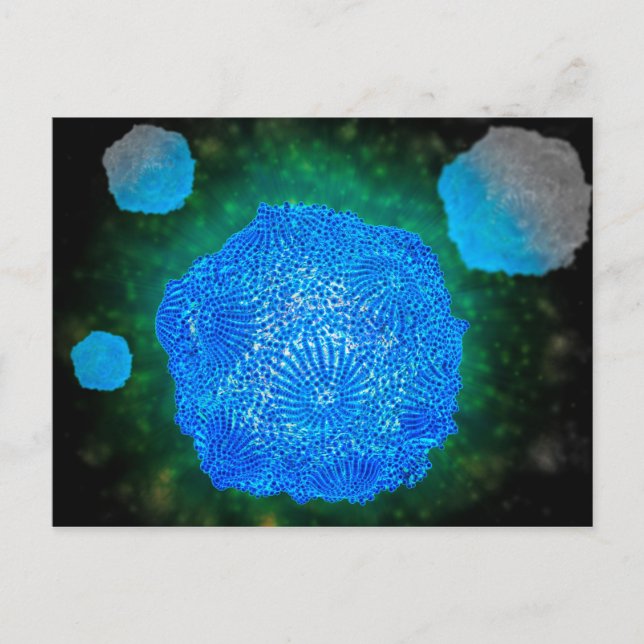 Mikroskopische Darstellung des Canin Parvovirus 3 Postkarte (Vorderseite)