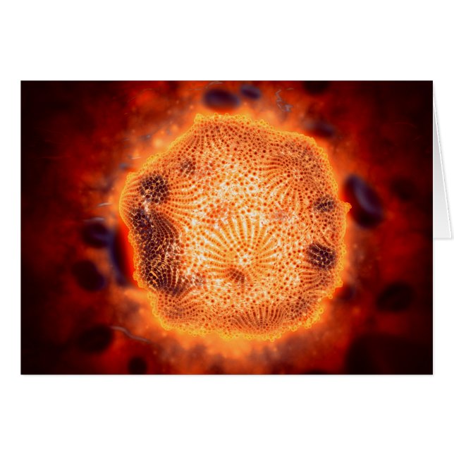 Mikroskopische Darstellung des Canin Parvovirus 4 (Vorderseite (Horizontal))