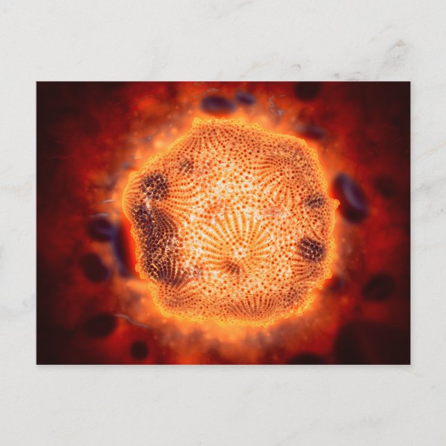 Mikroskopische Darstellung des Canin Parvovirus 4 Postkarte (Vorderseite)