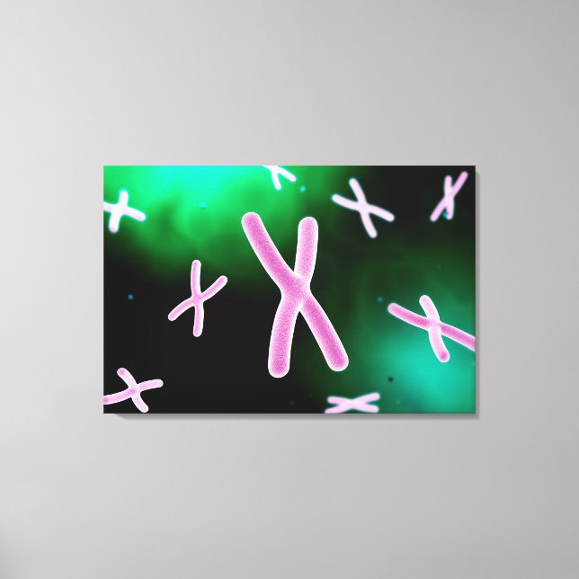 Mikroskopische Darstellung des Chromosoms 2 Leinwanddruck (Vorderseite)