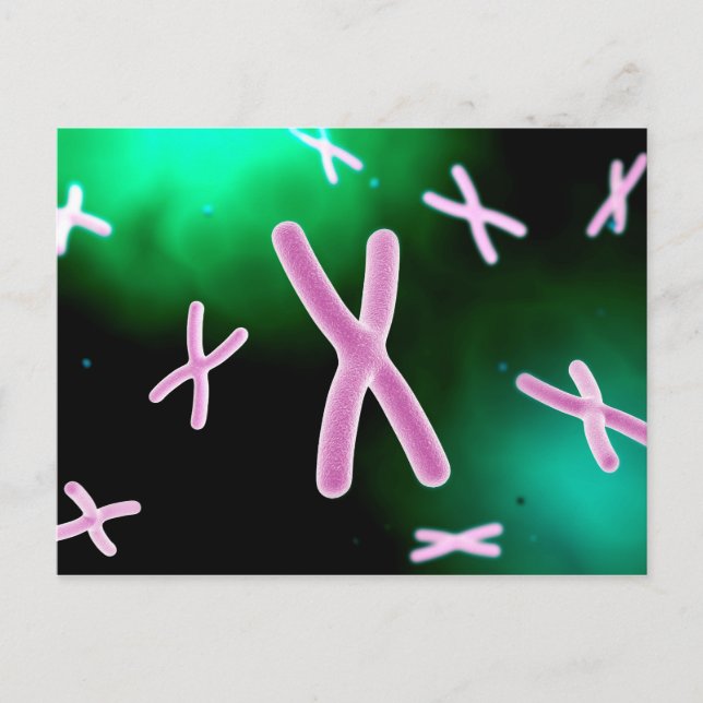 Mikroskopische Darstellung des Chromosoms 2 Postkarte (Vorderseite)