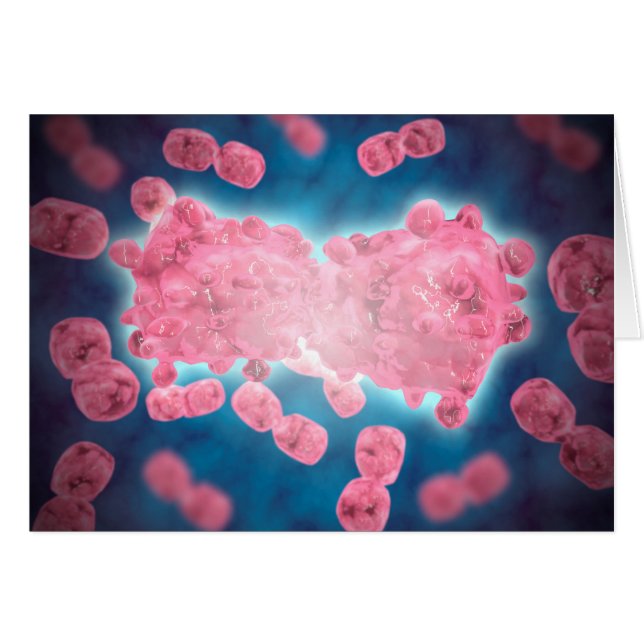 Mikroskopische Darstellung einer Gruppe von Leukäm (Vorderseite (Horizontal))