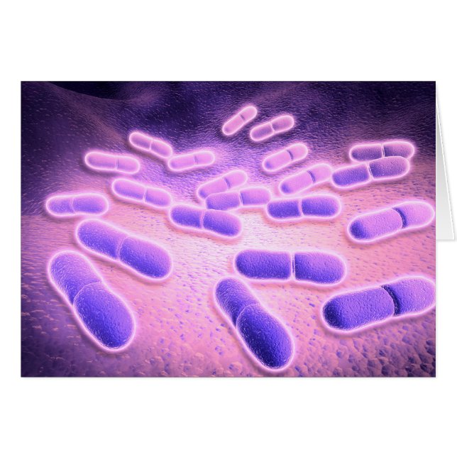 Mikroskopische Darstellung von Listeria monocytoge (Vorderseite (Horizontal))