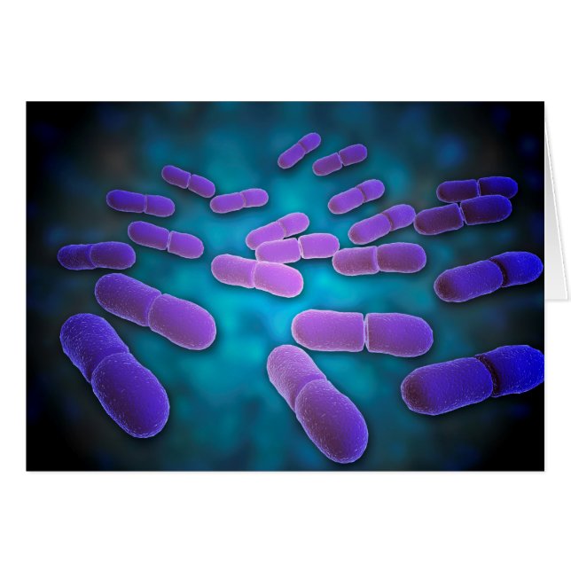 Mikroskopische Darstellung von Listeria monocytoge (Vorderseite (Horizontal))