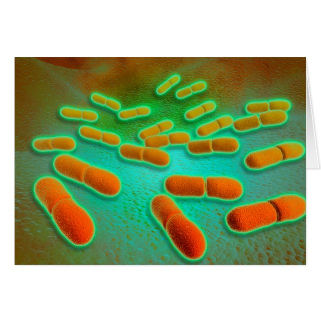Mikroskopische Darstellung von Listeria monocytoge (Vorderseite (Horizontal))