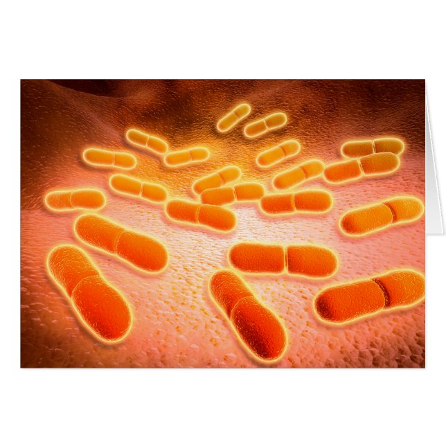 Mikroskopische Darstellung von Listeria monocytoge (Vorderseite (Horizontal))